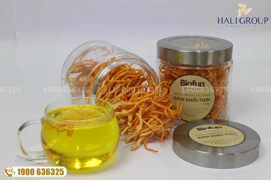 Địa chỉ cung cấp Đông Trùng Hạ Thảo Biofun Việt Nam ở tp HCM