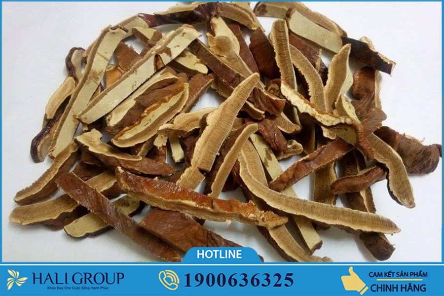  Nấm Linh Chi Kim Cương Vàng Tiến Luật - thực phẩm "vàng" cho những người bị suy giảm chức năng gan