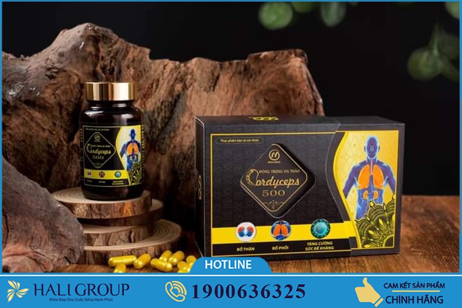 Đông Trùng Hạ Thảo Cordyceps 500 - thực phẩm "vàng" cho sức khỏe của bạn