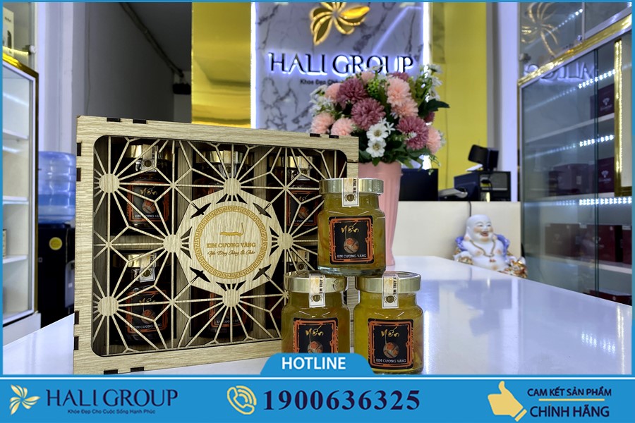 Cung cấp Yến Đông Trùng Hạ Thảo Kim Cương Vàng Tiến Luật trên cả nước